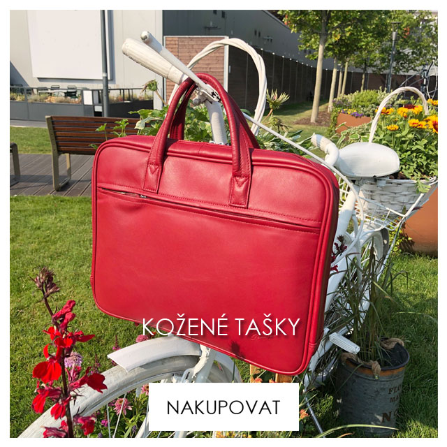 ÄŒtvereceshopofficeprogram2